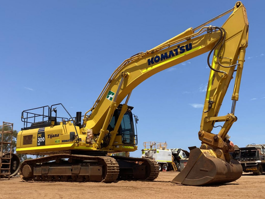 Bagger 2019 zu verkaufen oder zu vermieten